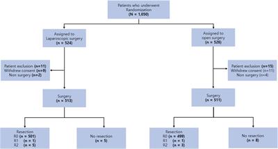 Accuracy of preoperative clinical staging for locally advanced gastric cancer in KLASS-02 randomized clinical trial